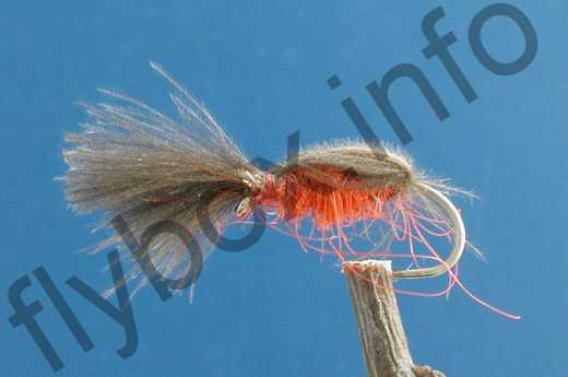Fish4Flies Red Huttlecock Snail